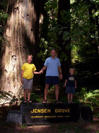 Humbolt Redwoods State Park.